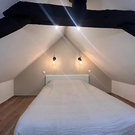 Cocon Mayennais - Loft Balneo Apartamento Laval (Mayenne)